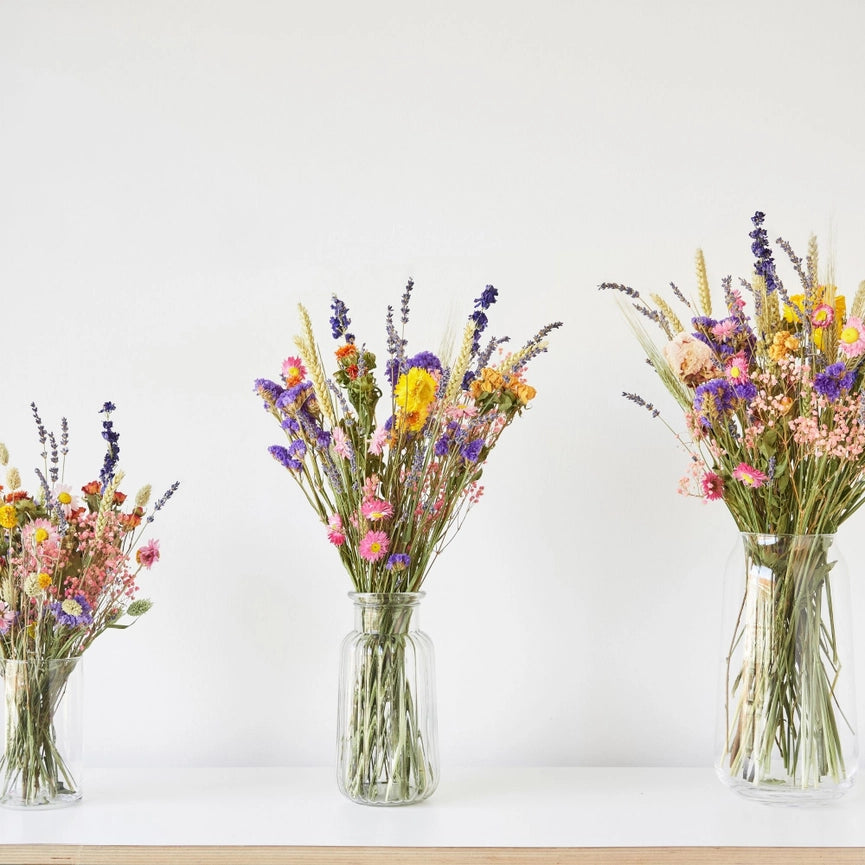 Dried Flowers - Field Bouquet - Multi - Small Size