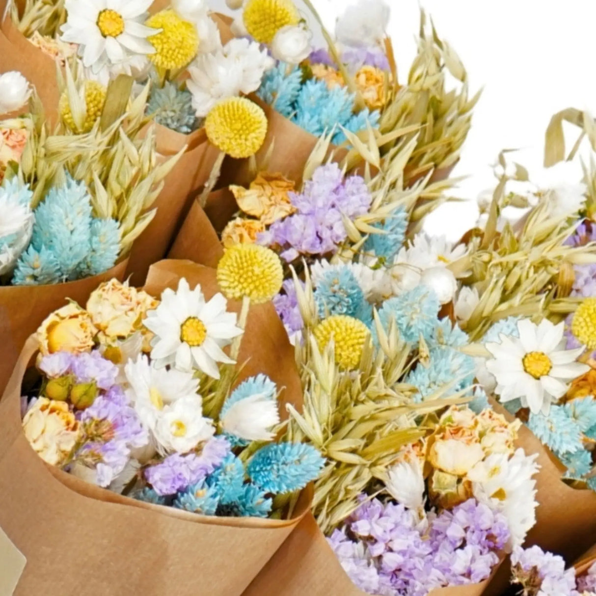 Dried Flowers - Market Bouquet - Spring Mix