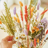 Dried Flowers - Field Bouquet - Lavender Peach