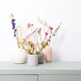 Dried Flowers - Field Bouquet - Multi