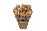 Dried Flowers - Market Bouquet - Apricot