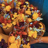 Dried Flowers - Market Bouquet - Harvest Sunset