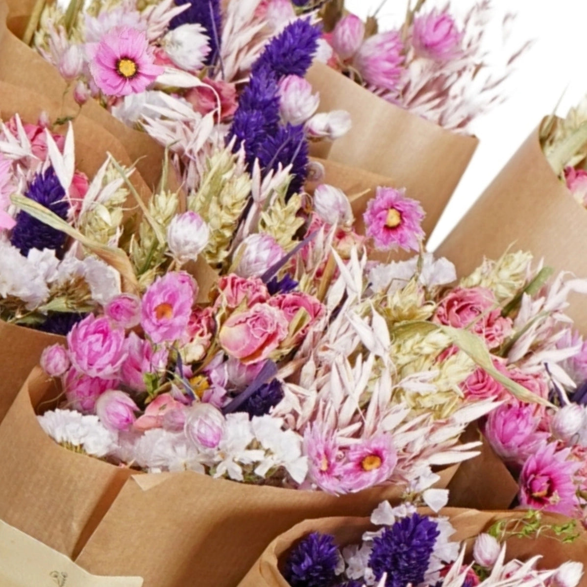 Dried Flowers - Market Bouquet - Purple Glow