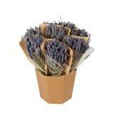 Dried Flowers - Lavender