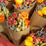 Dried Flowers - Market Bouquet - Orange