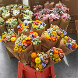 Dried Flowers - Market Bouquet - Multi-Color