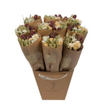 Dried Flowers - Market Bouquet - Natural