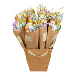 Dried Flowers - Market Bouquet - Spring Mix