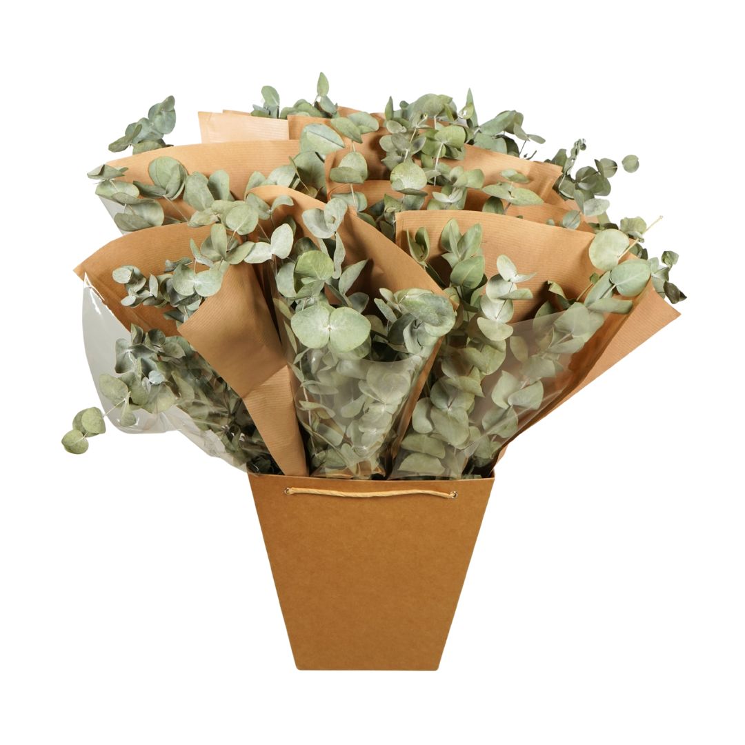 Dried Flowers - Bouquet Mono Eucalyptus