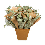 Dried Flowers - Bouquet Mono Eucalyptus
