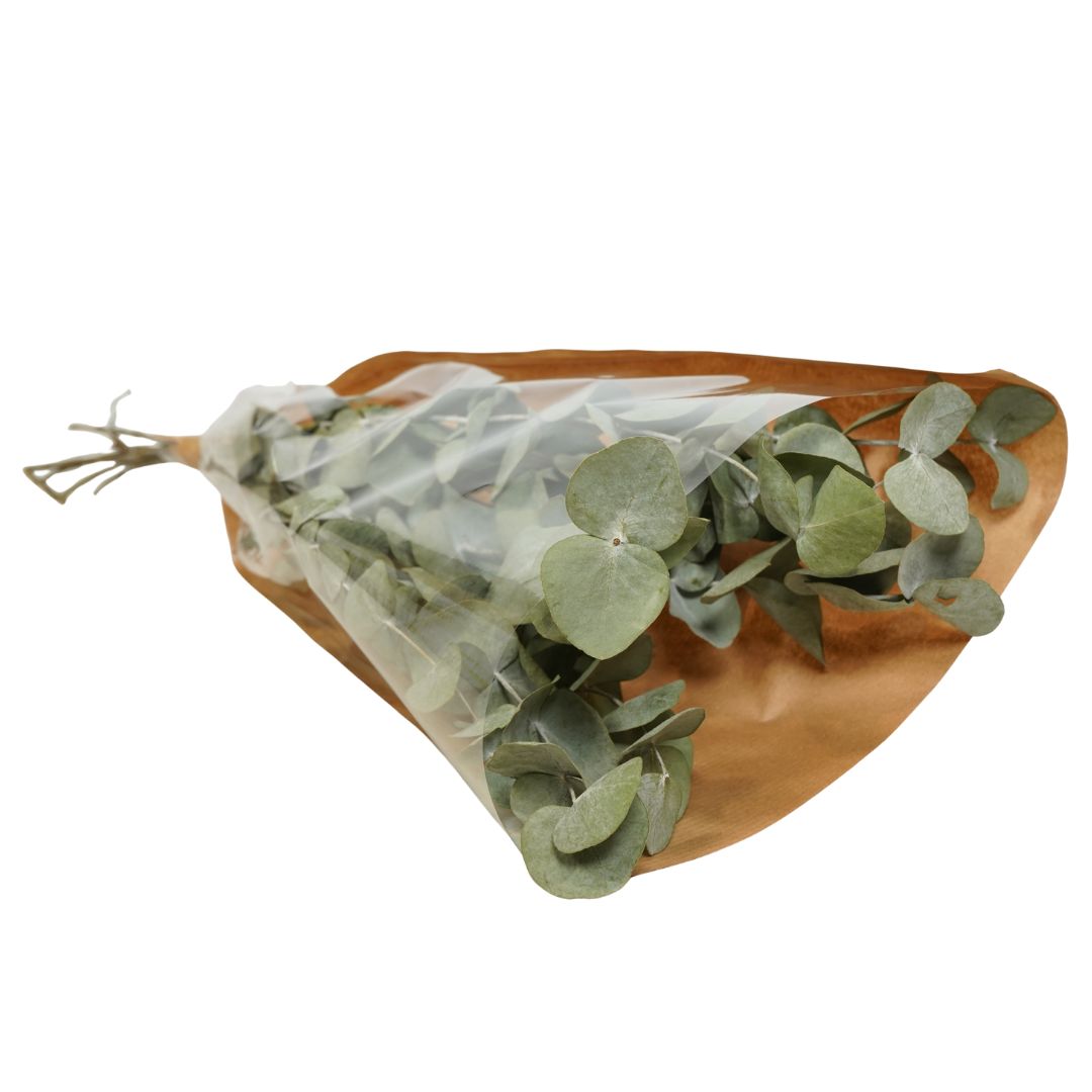 Dried Flowers - Bouquet Mono Eucalyptus