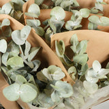 Dried Flowers - Bouquet Mono Eucalyptus