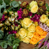 Summer Field | Farm-Direct Bulk Fresh Flower Combo Box