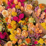Dried Flowers - Market Bouquet - Summer Crush